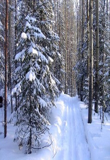 Книга. "Горка" читать онлайн