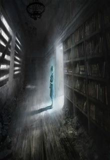 Книга. "Книжная тень" читать онлайн