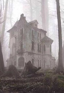 Книга. "Серый Дом" читать онлайн