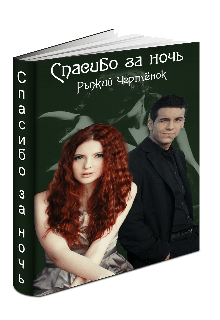 Книга. "Спасибо за ночь" читать онлайн