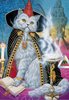 Книга. "Кот" читать онлайн