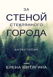 Книга. "За стеной стеклянного города" читать онлайн