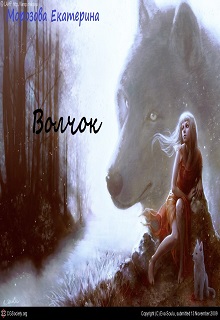 Книга. "Волчок" читать онлайн
