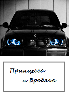 Книга. "Принцесса и Бродяга" читать онлайн