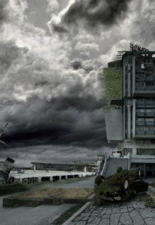 Книга. "Новички всегда возвращаются" читать онлайн