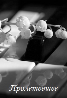Книга. "Пролетевшее" читать онлайн
