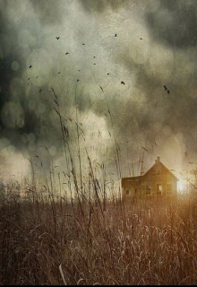 Книга. "Дети пшеничного поля" читать онлайн