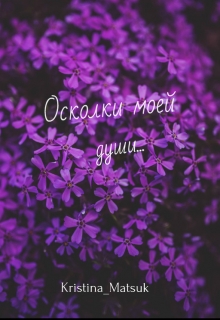 Книга. "Осколки моей души" читать онлайн