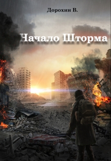 Книга. "Начало Шторма" читать онлайн
