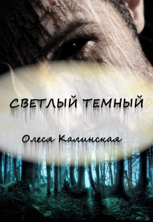 Книга. "Светлый темный" читать онлайн