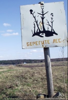Книга. "Берегите лес!" читать онлайн