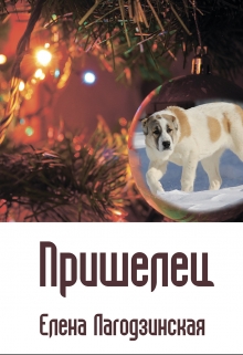 Книга. "Пришелец" читать онлайн
