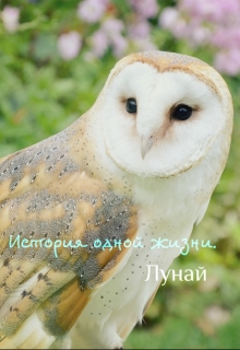 Книга. "История одной жизни." читать онлайн