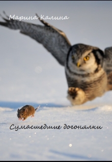 Книга. "Сумасшедшие догонялки" читать онлайн