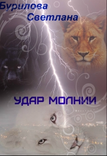 Книга. "Удар молнии" читать онлайн