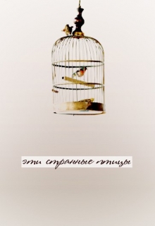 Книга. "Эти странные птицы" читать онлайн