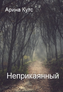 Книга. "Неприкаянный" читать онлайн