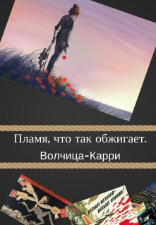 Книга. "Пламя, что так обжигает." читать онлайн