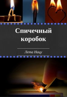 Книга. "Спичечный коробок" читать онлайн