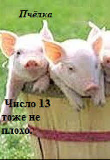 Книга. "Число 13 тоже не плохо." читать онлайн
