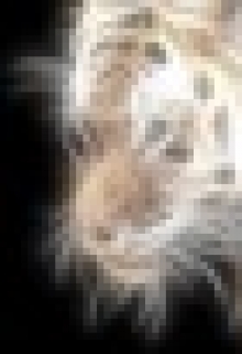 Книга. ""Мой ласковый зверь."" читать онлайн
