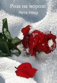 Книга. "Роза на морозе" читать онлайн
