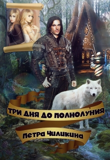 Книга. "Три дня до полнолуния." читать онлайн