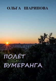 Книга. "Полёт бумеранга" читать онлайн
