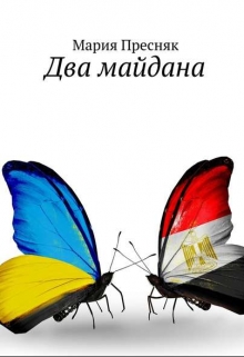Книга. "Два Майдана" читать онлайн