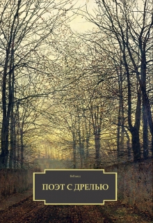 Книга. "Поэт с дрелью" читать онлайн