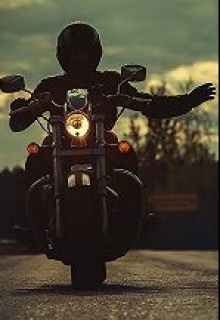 Книга. "По дороге жизни" читать онлайн