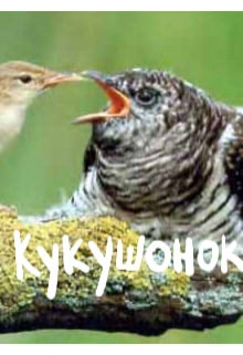Книга. "Кукушонок" читать онлайн