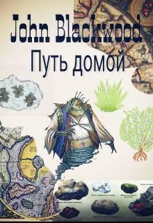 Книга. "Путь Домой не бывает легким" читать онлайн
