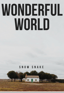Книга. "Wonderful world" читать онлайн