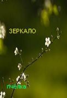 Книга. "Зеркало." читать онлайн