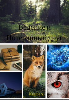 Книга. "Видение и потерянный друг" читать онлайн