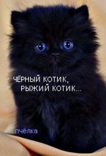 Книга. "Чёрный котик,рыжий котик..." читать онлайн