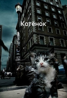 Книга. "Котёнок" читать онлайн