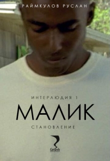 Книга. "Малик. Интерлюдия 1 (становление)" читать онлайн