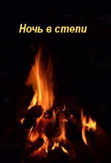 Книга. "Ночь в степи" читать онлайн