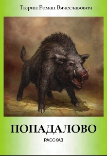Книга. "Попадалово" читать онлайн