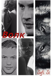 Книга. "Волк." читать онлайн