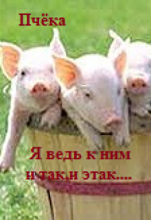 Книга. "Я ведь к ним и так и этак..." читать онлайн