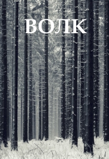 Книга. "Волк" читать онлайн