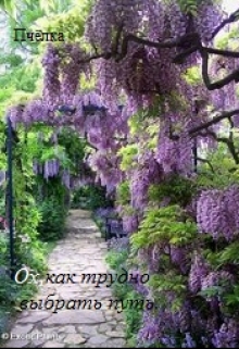 Книга. "Ох,как трудно выбрать путь." читать онлайн