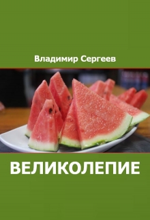 Книга. "Великолепие" читать онлайн