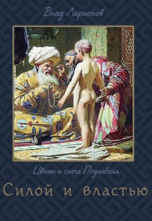 Книга. "Силой и властью" читать онлайн