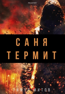 Книга. "Саня Термит" читать онлайн