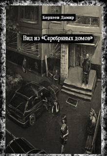 Книга. "Вид из "Серебряных домов"" читать онлайн
