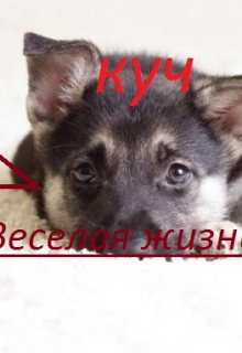 Книга. "Куч и его веселая  жизнь" читать онлайн